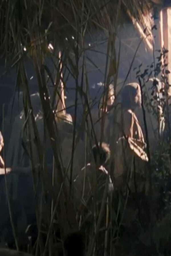 Genesis: The Creation and the Flood 0