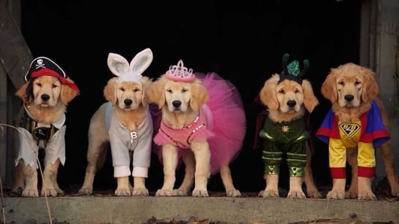 Spooky Buddies 0