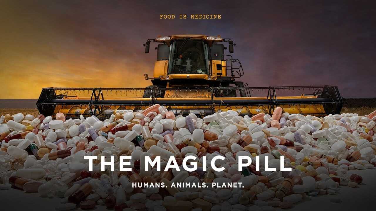 The Magic Pill 0