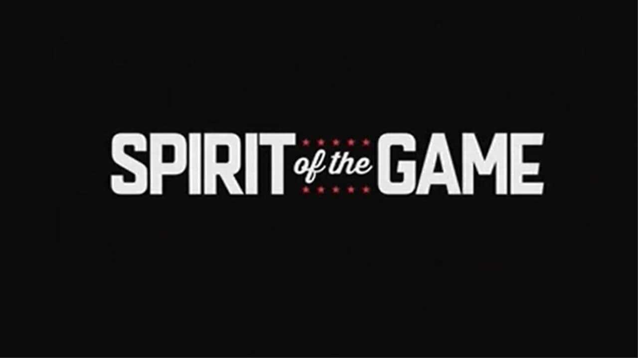 Lo spirito del gioco 0