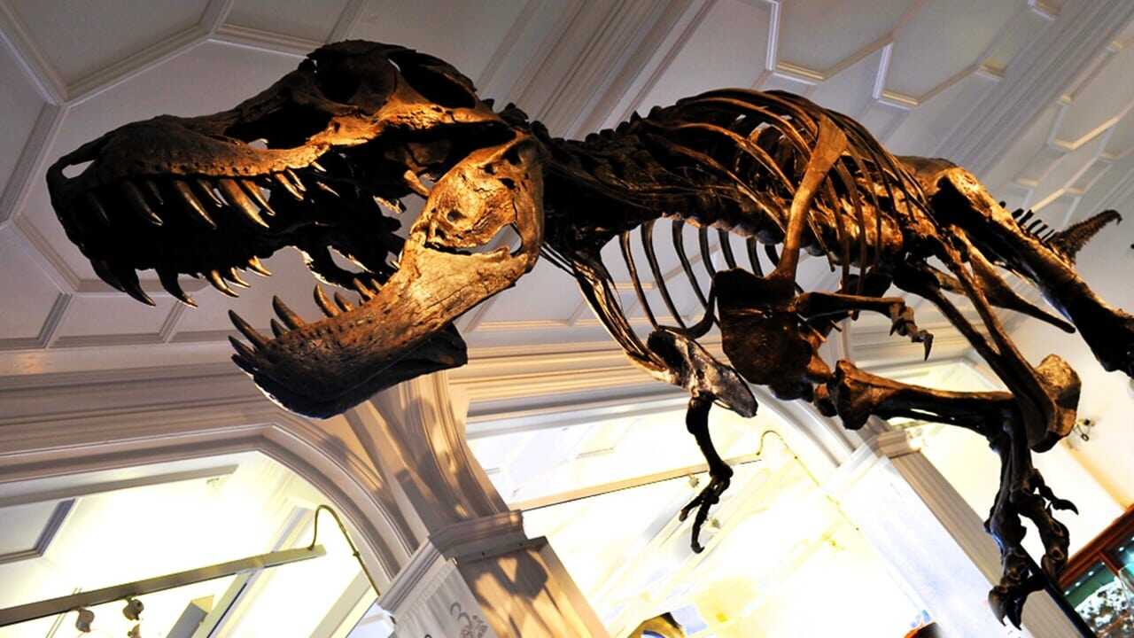 How to Build a Dinosaur 0