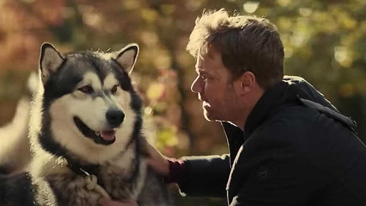 Hero Dog: The Journey Home 0