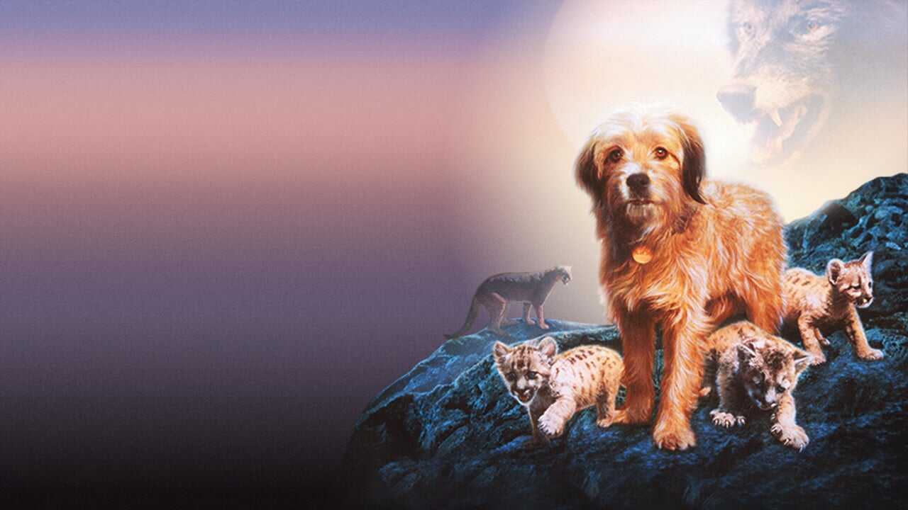 Benji the Hunted 0