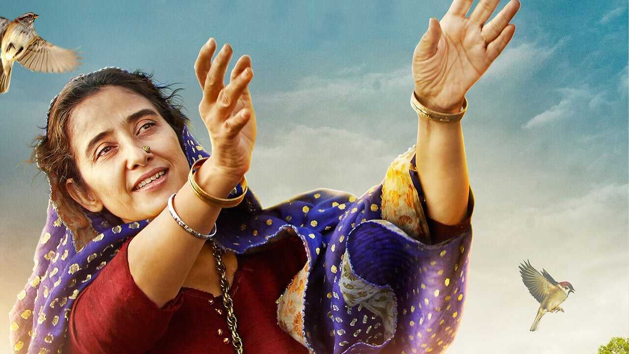 Dear Maya 0
