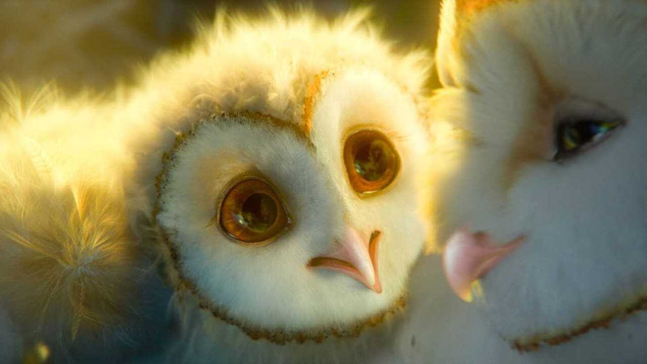 Legend of the Guardians: The Owls of Ga'Hoole 0