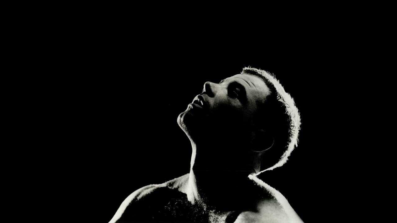 Midnight Express 0