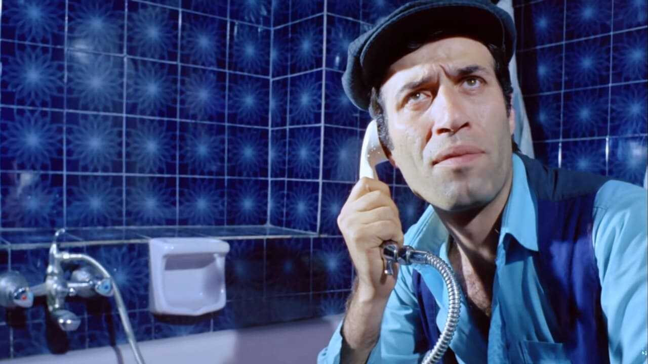 Sakar Şakir 0