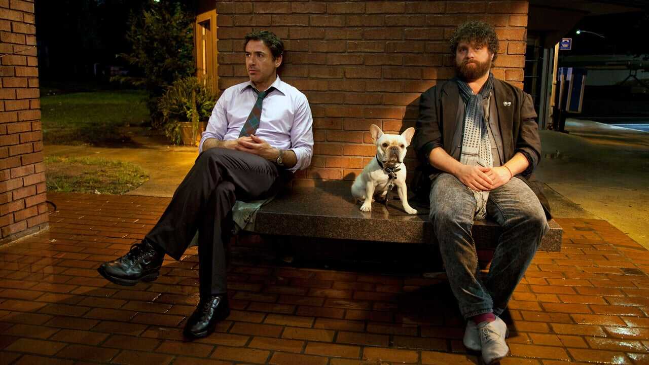 Due Date 0