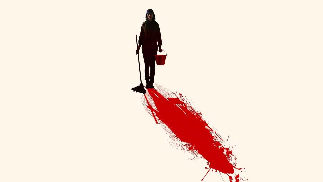 The Cleaning Lady 0