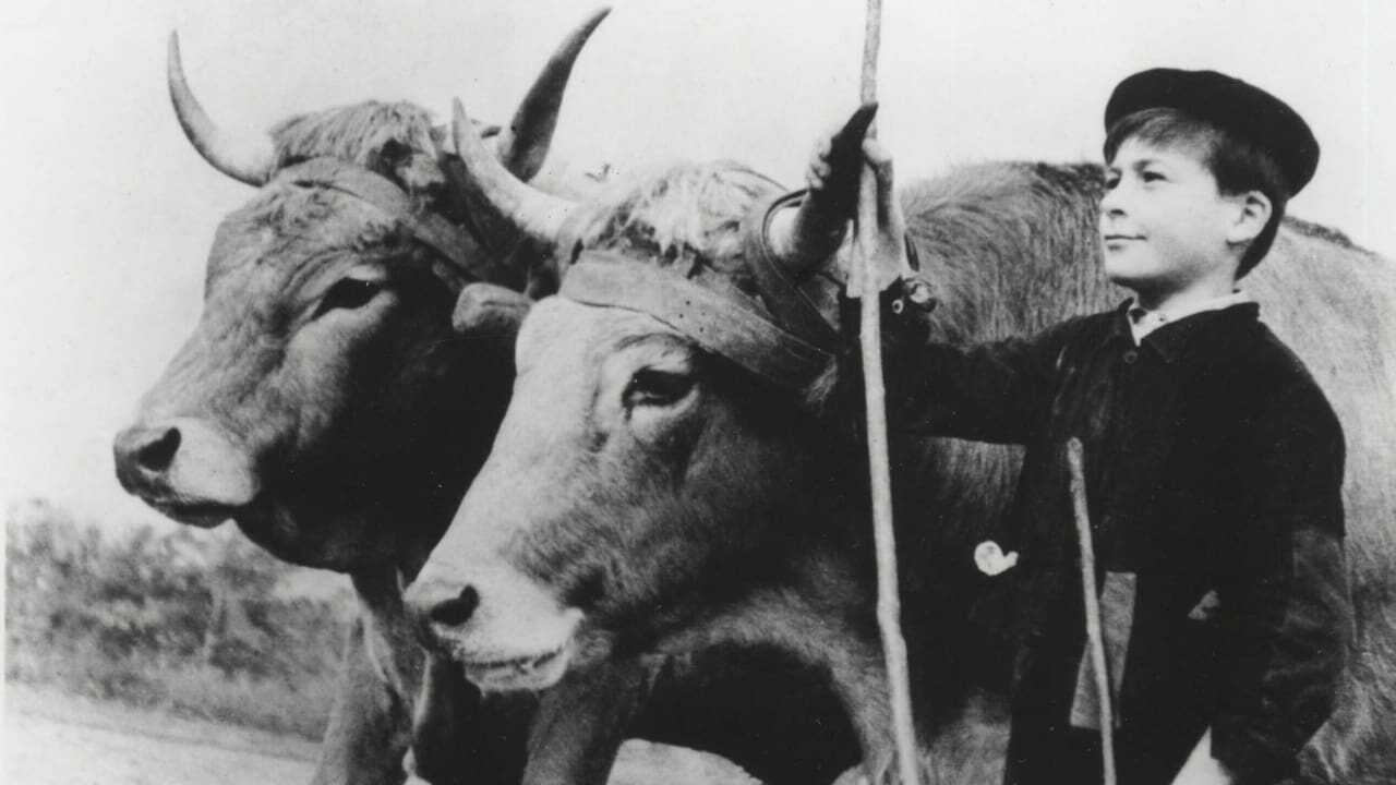 Farrebique ou les Quatre Saisons 0