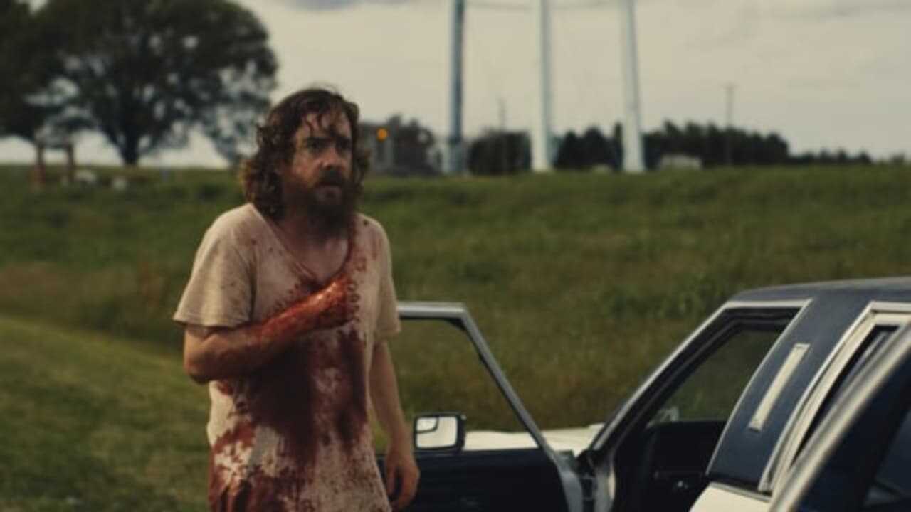 Blue Ruin 0
