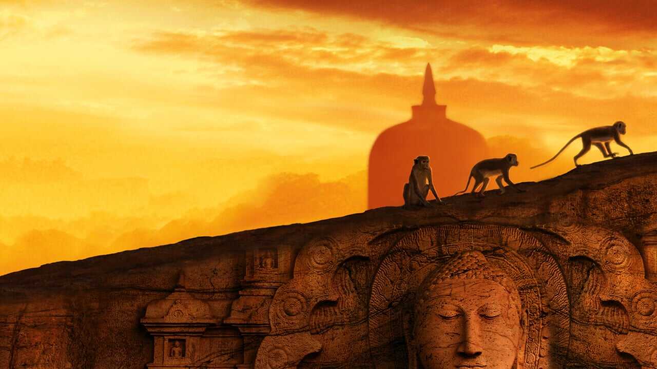 Monkey Kingdom 0
