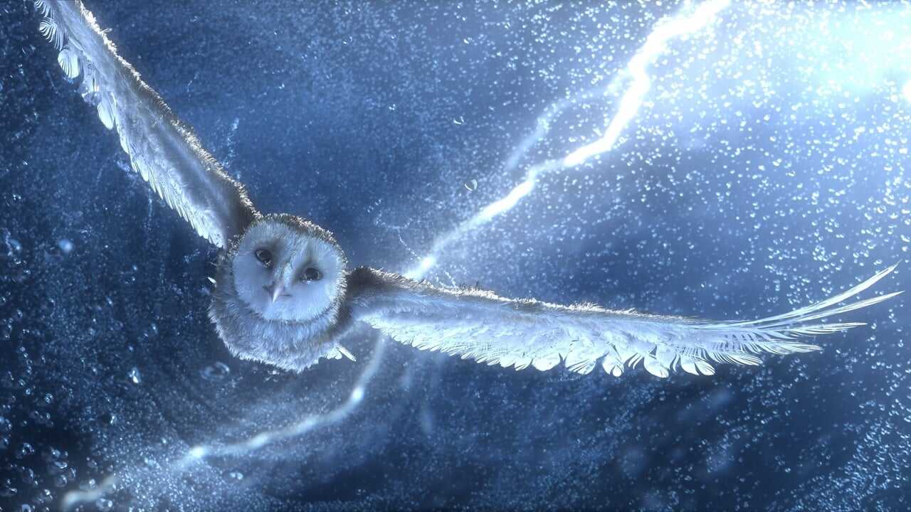 Legend of the Guardians: The Owls of Ga'Hoole 0