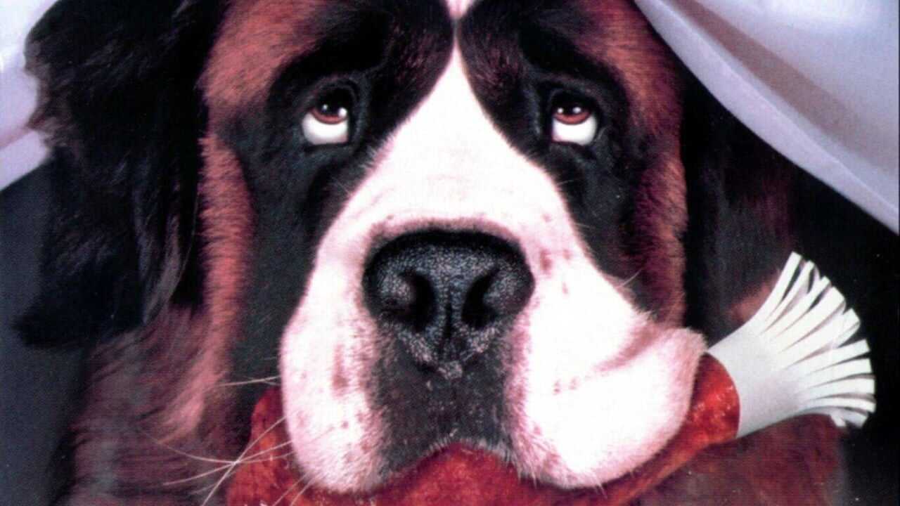 Beethoven 0