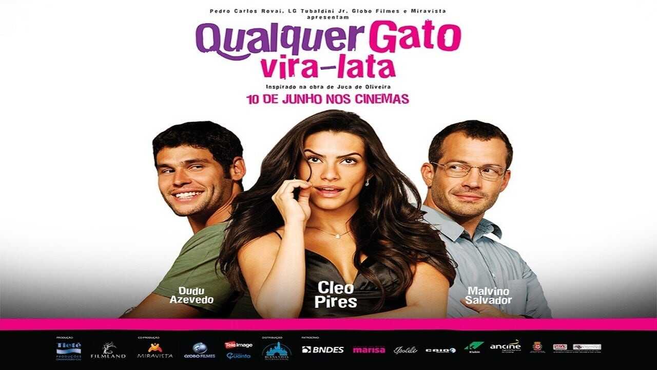 Qualquer Gato Vira-Lata 0