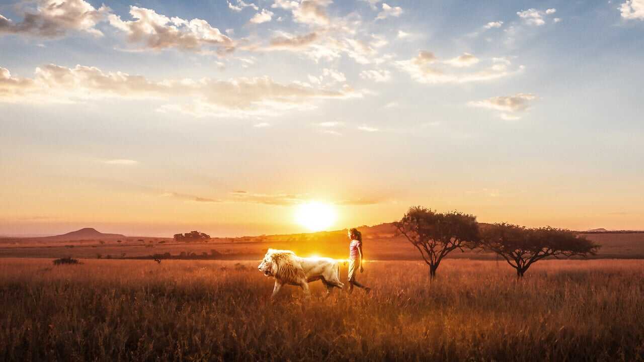 Mia and the White Lion 0
