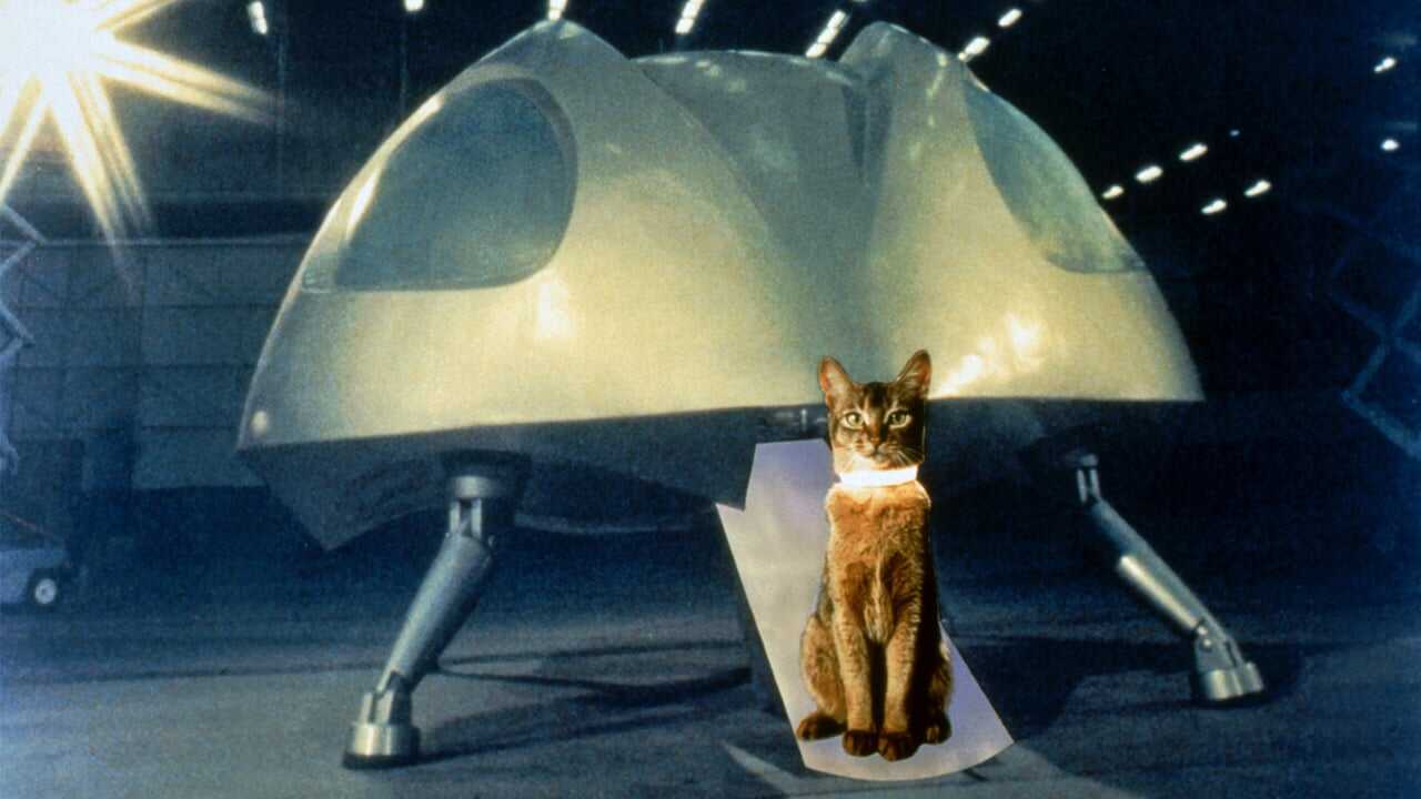 The Cat from Outer Space 0