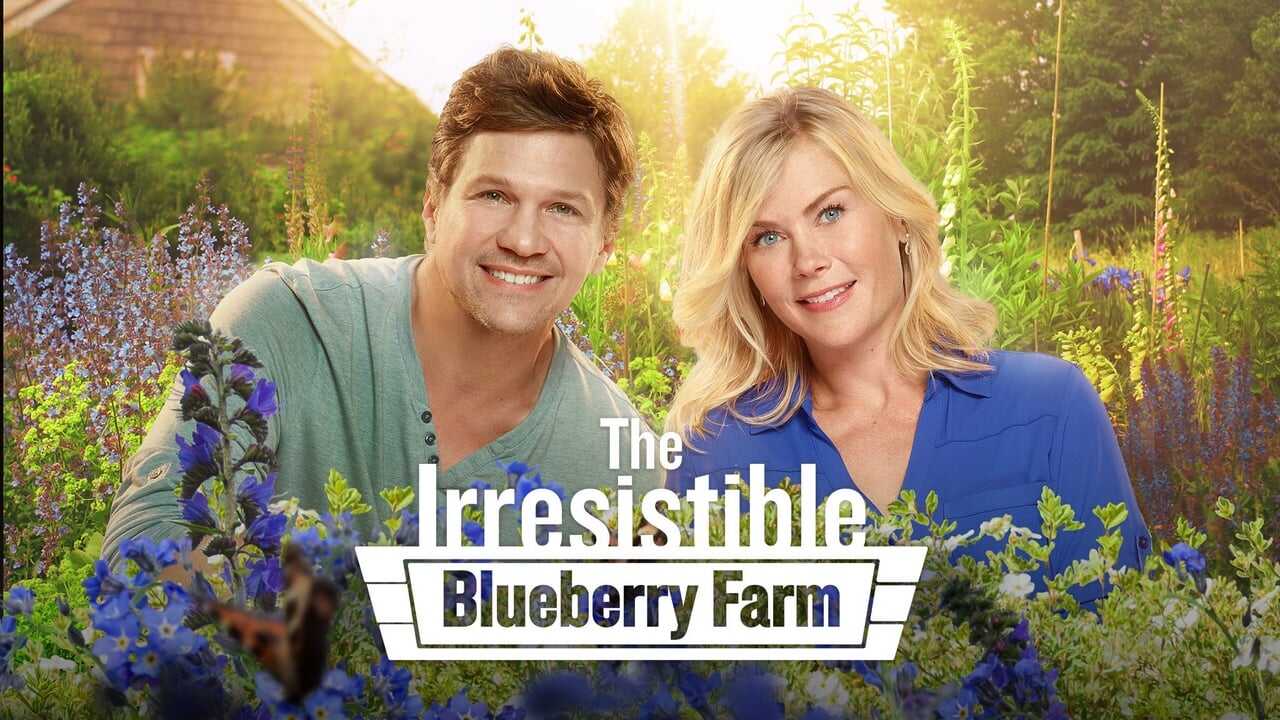 The Irresistible Blueberry Farm 0