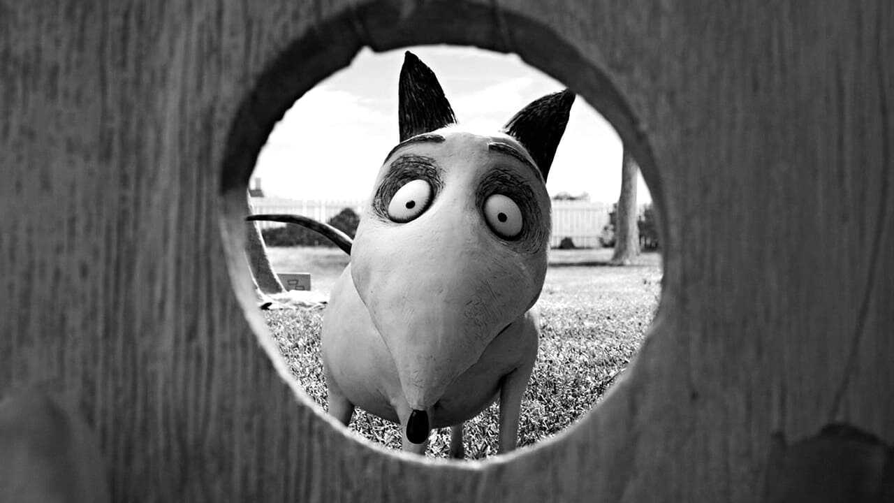 Frankenweenie 0