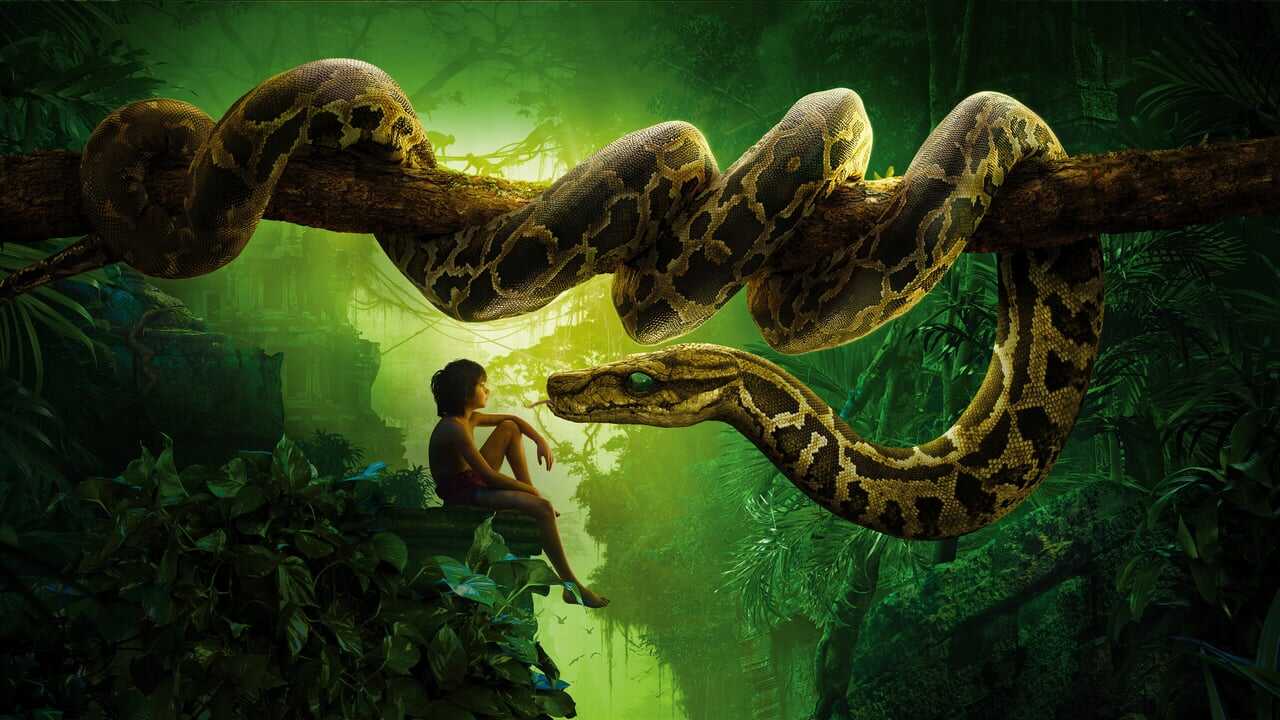 The Jungle Book 0