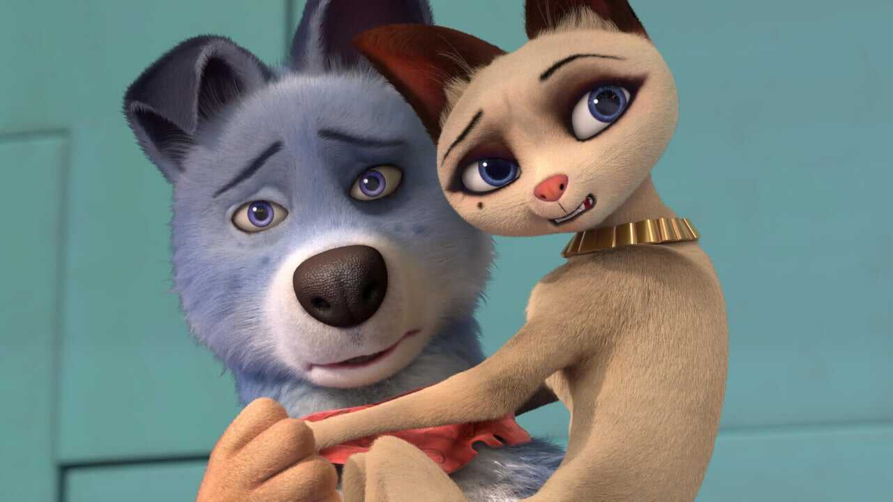 Pets United 0