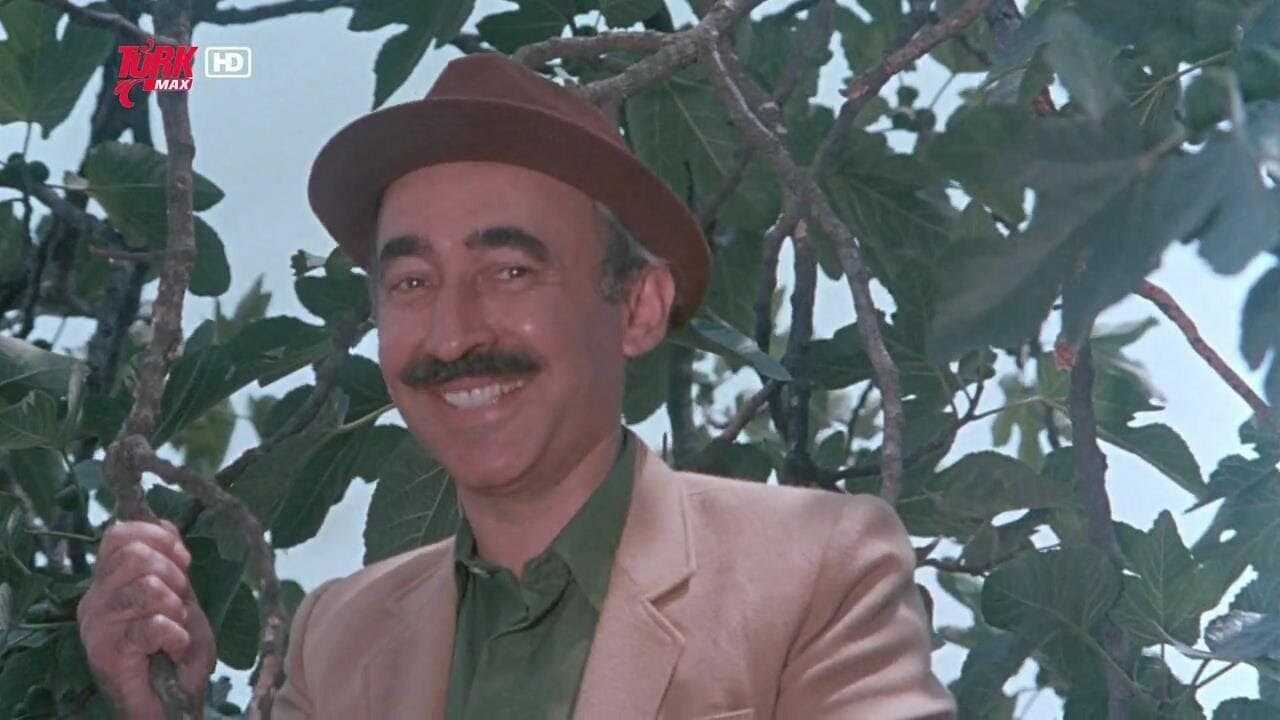 Şalvar Davası 0