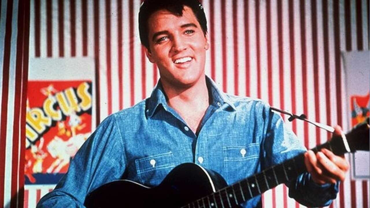 Roustabout 0