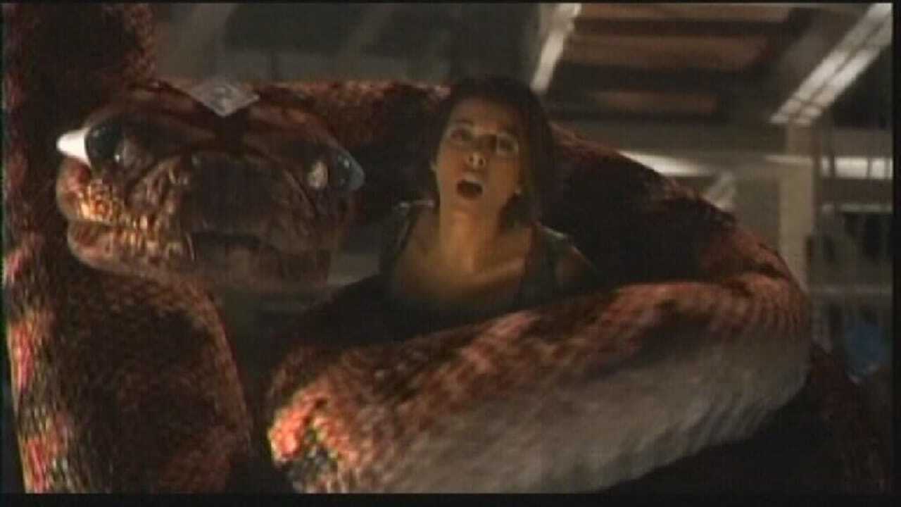 Boa vs. Python 0