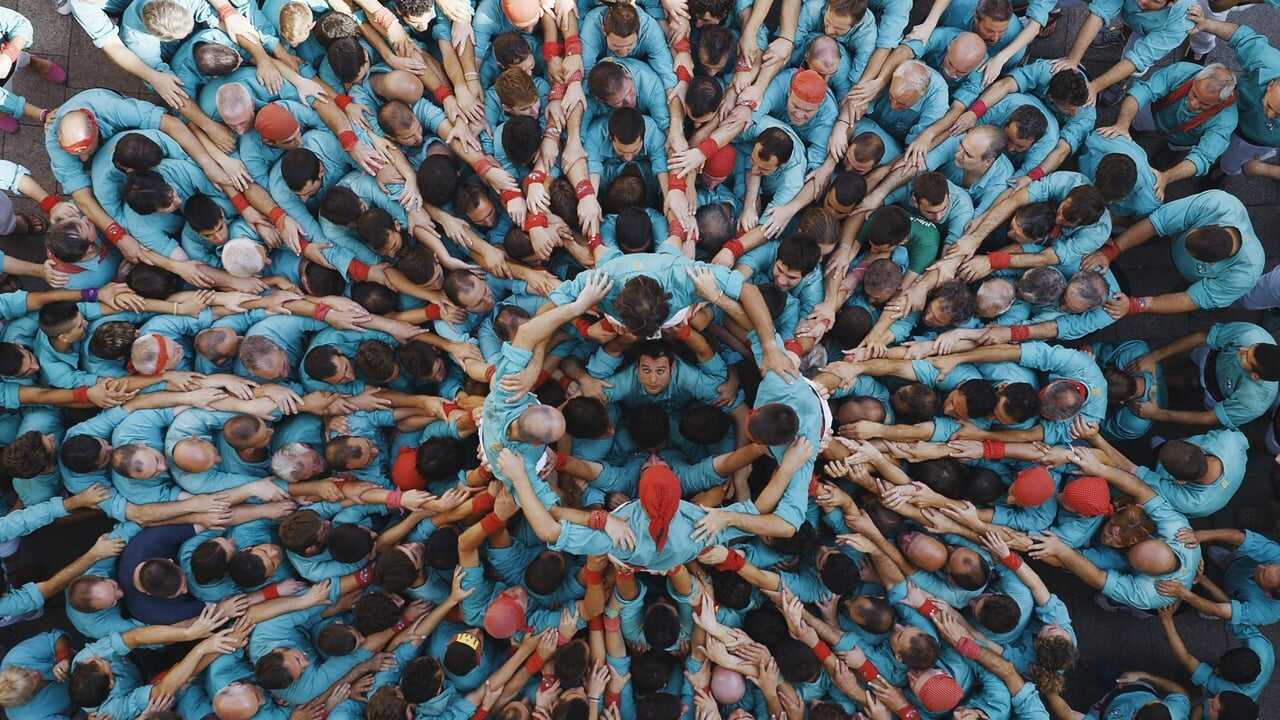Human 0