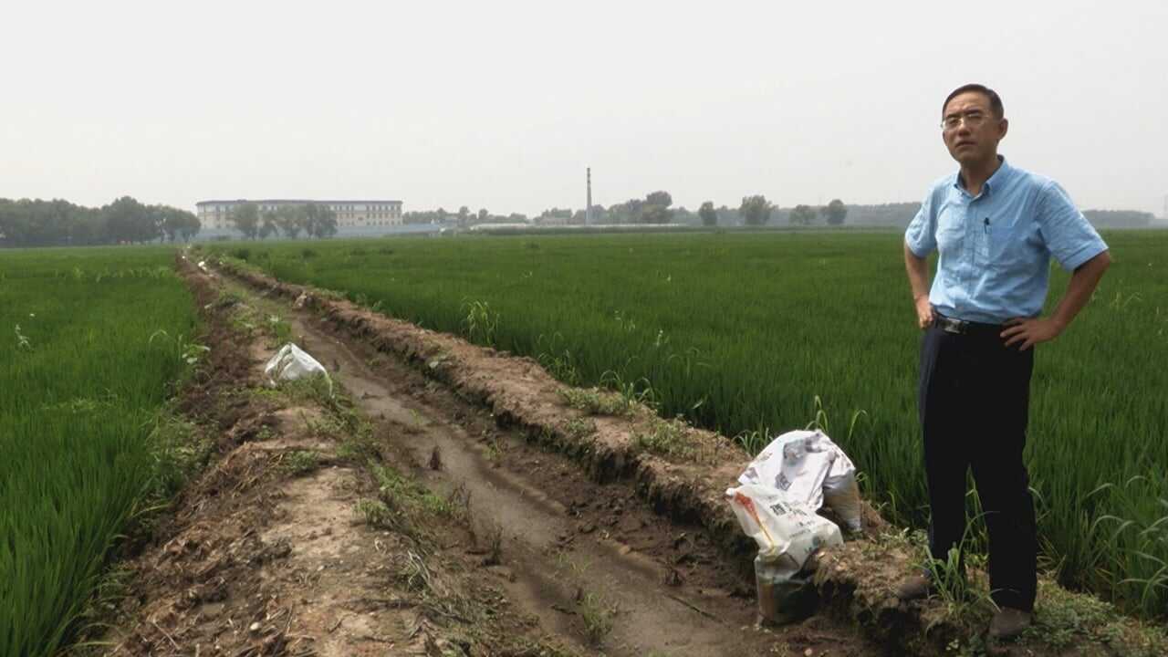 Letter from Masanjia 0