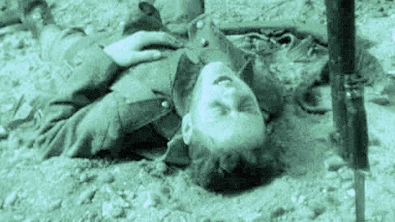 The Diary of an Unknown Soldier 0