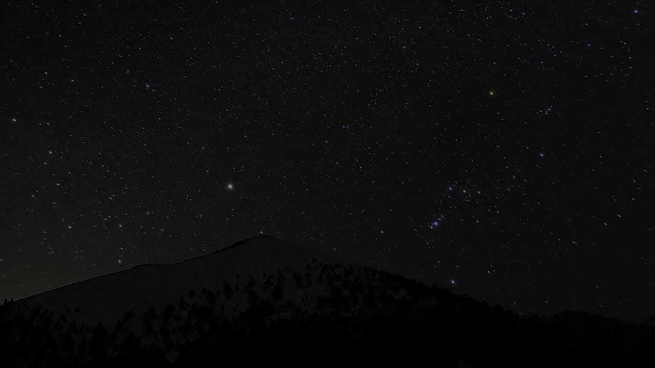 Barking at the Stars 0