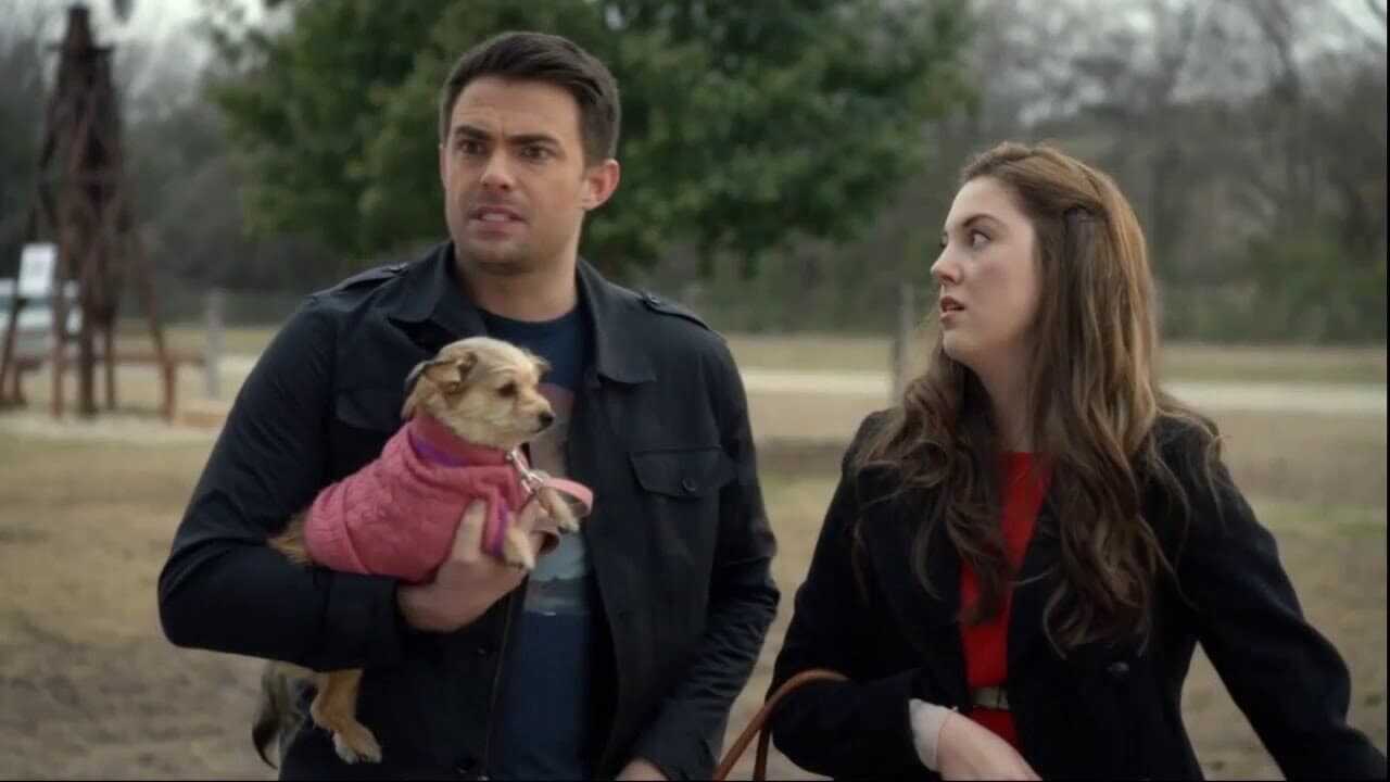 A Dogwalker's Christmas Tale 0