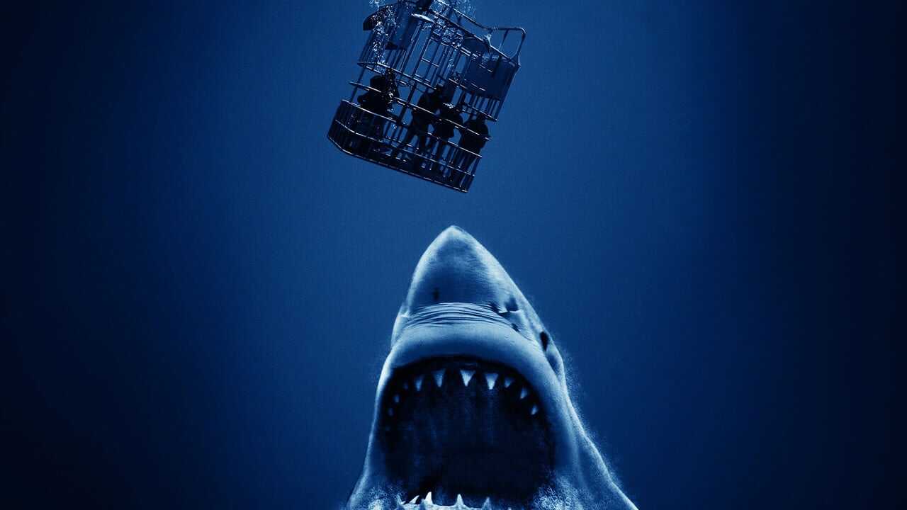Cage Dive 0