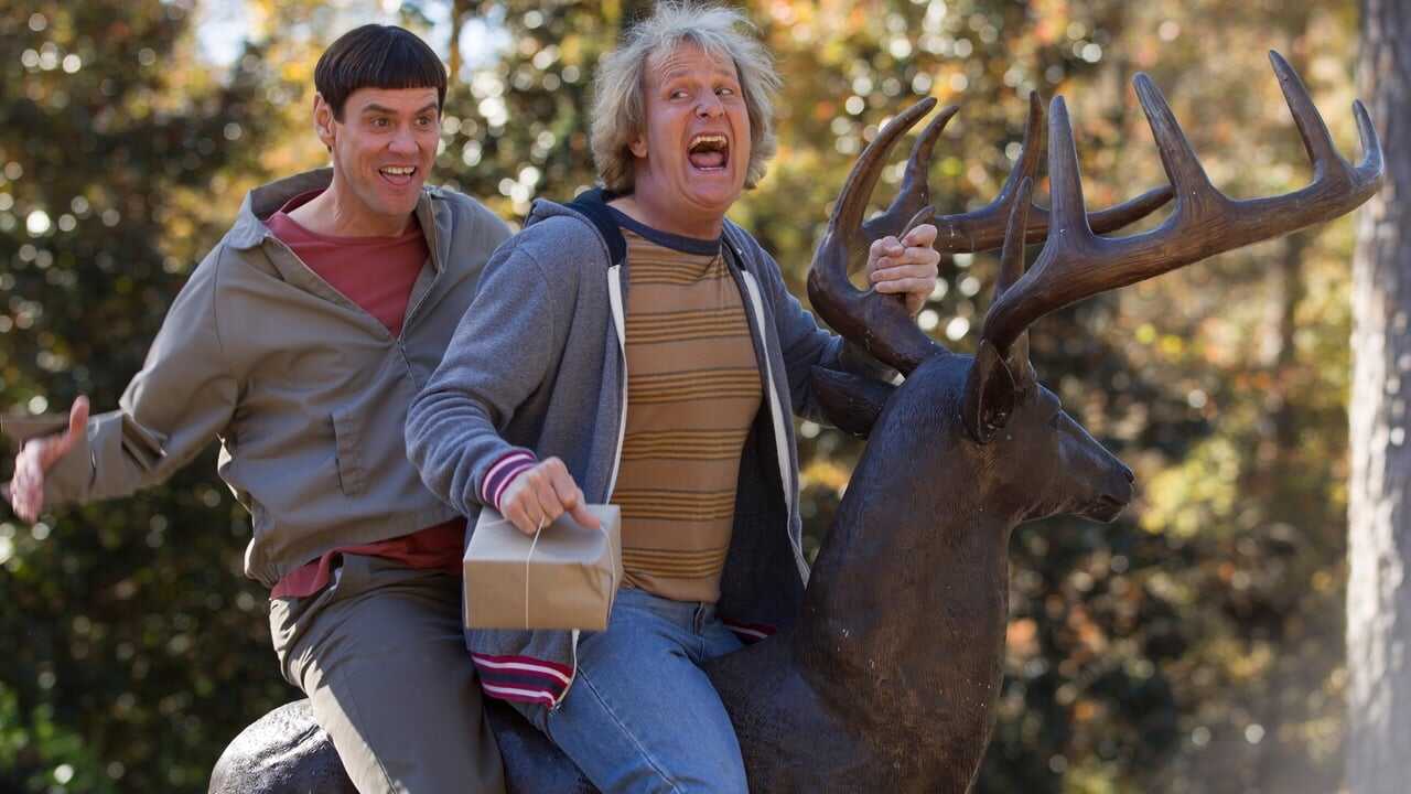 Dumb and Dumber To 0