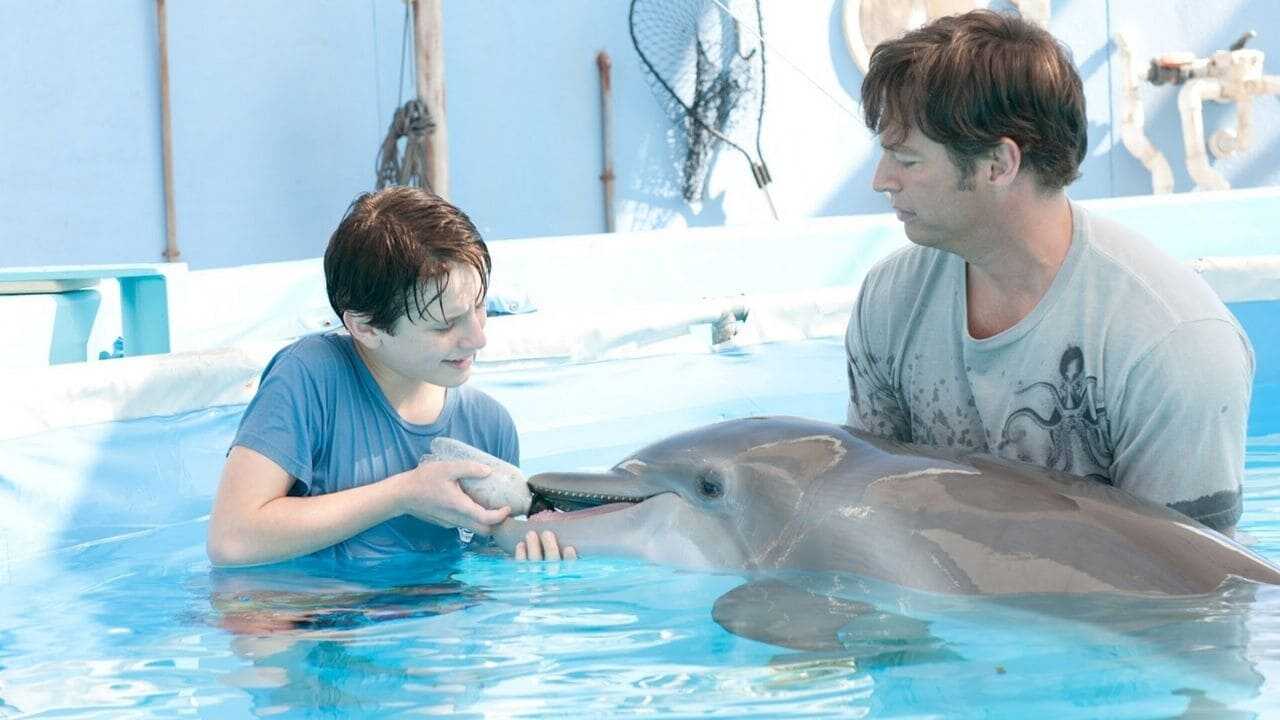 Dolphin Tale 0