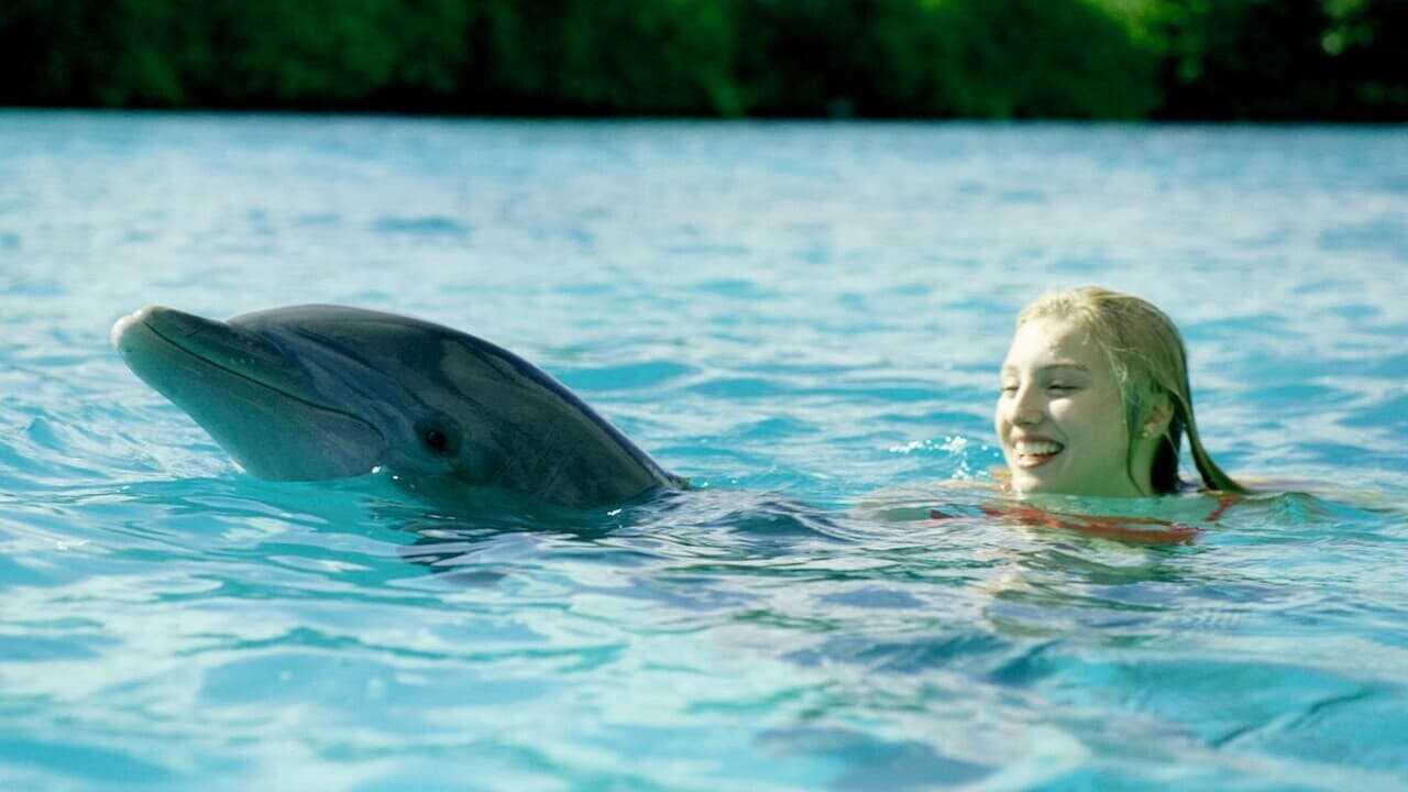 Dolphin Island 0