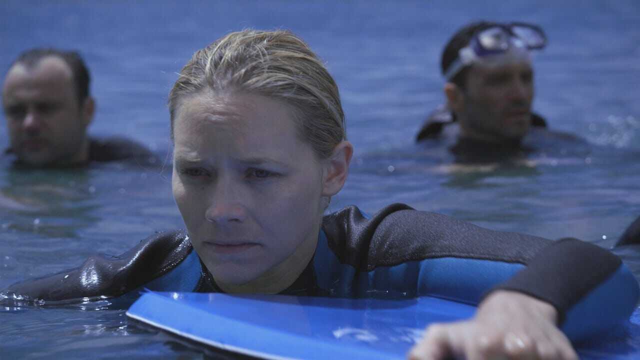 The reef 0