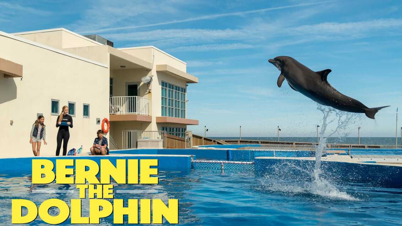 Bernie the Dolphin 0
