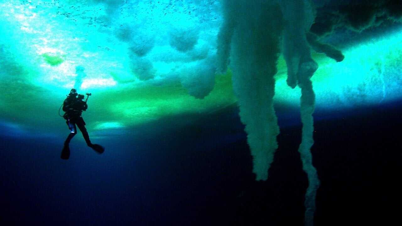 Encounters at the End of the World 0