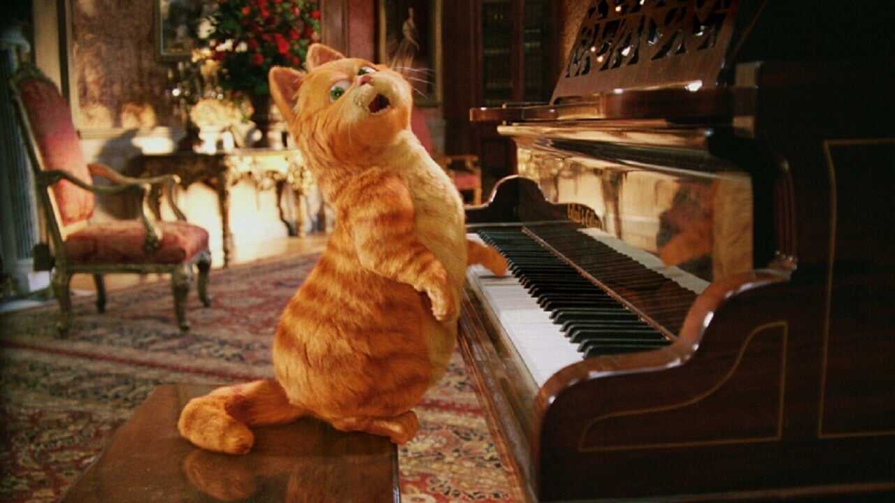 Garfield: A Tail of Two Kitties 0