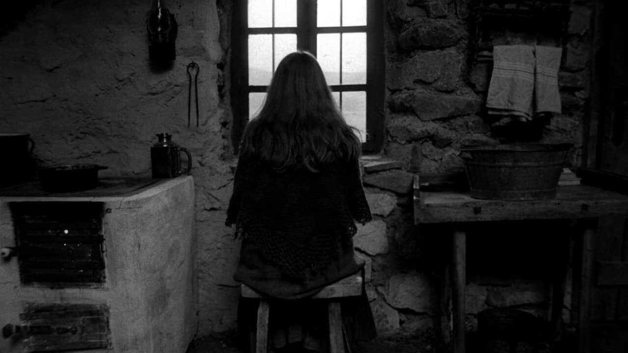 The Turin Horse 0