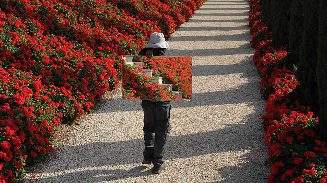 The Gardener 0