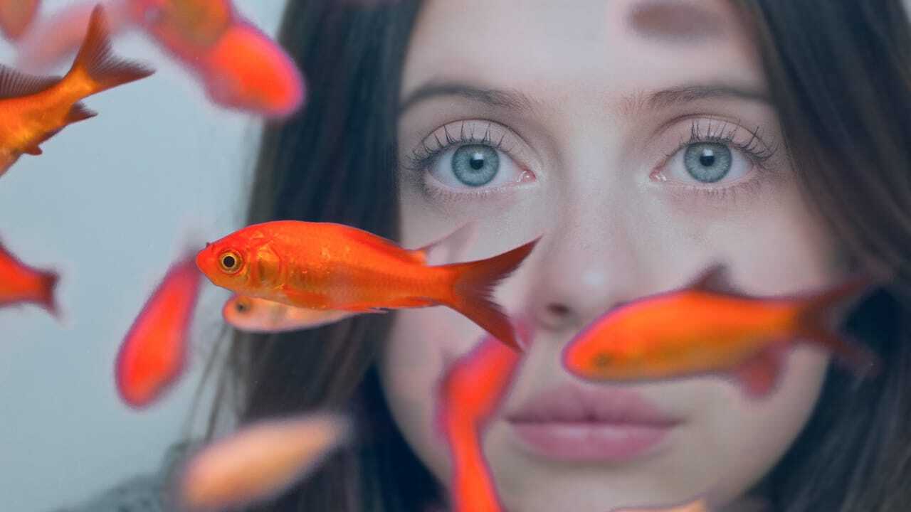 Carrie Pilby 0