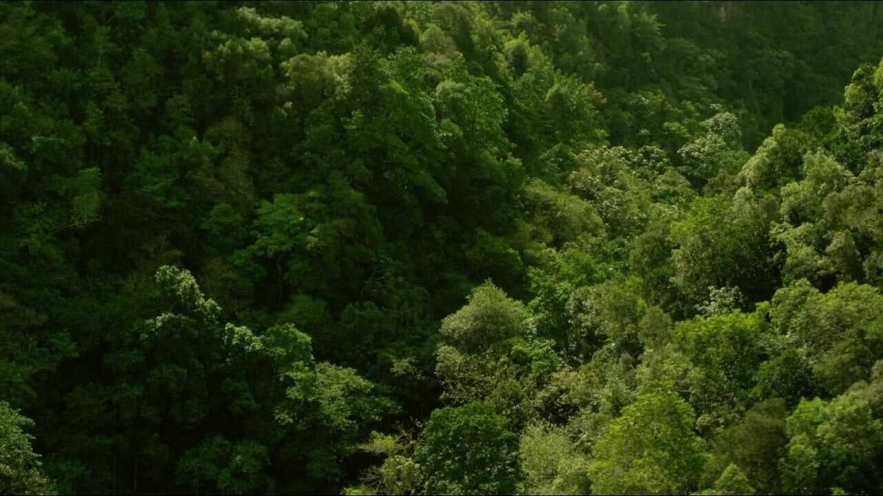 Project Eden: Vol. I 0