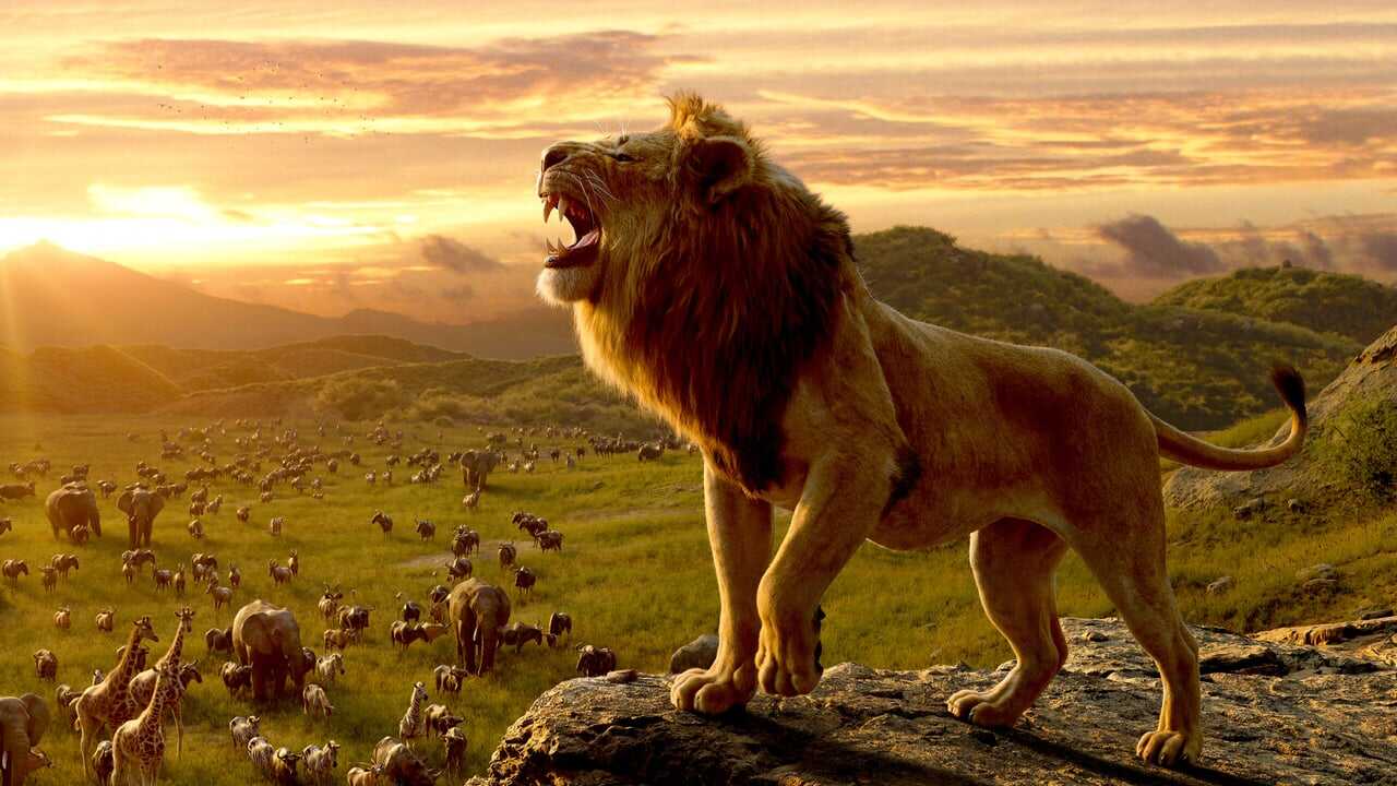 The Lion King 0