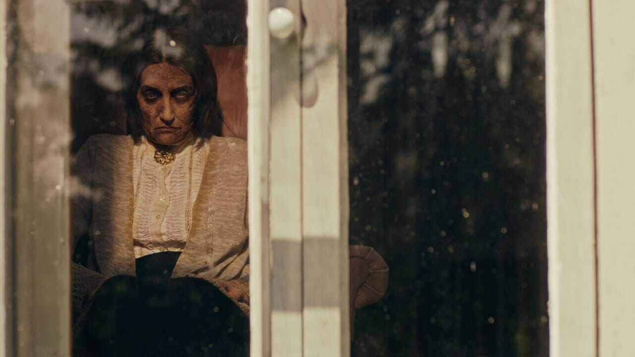 The Witch in the Window 0