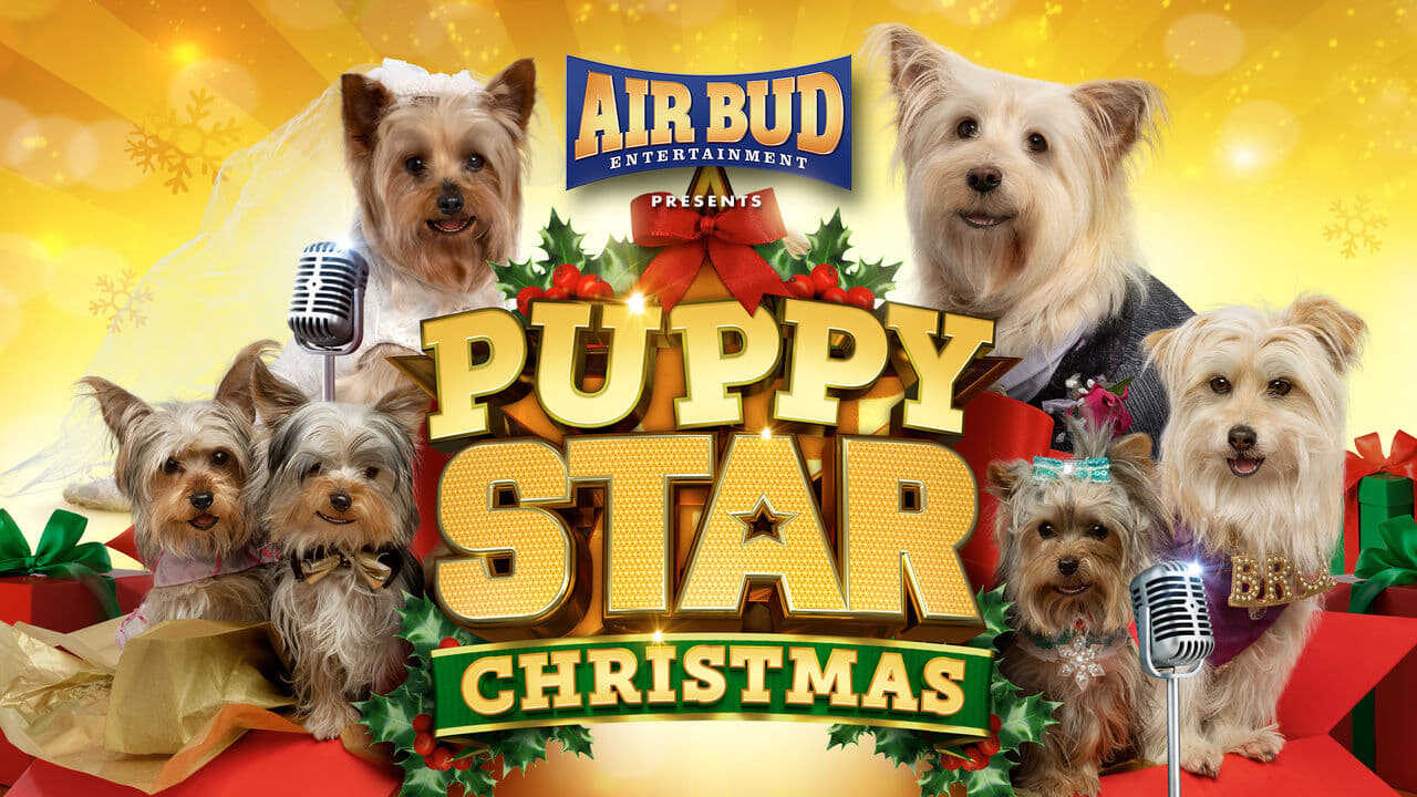 Puppy Star Christmas 0