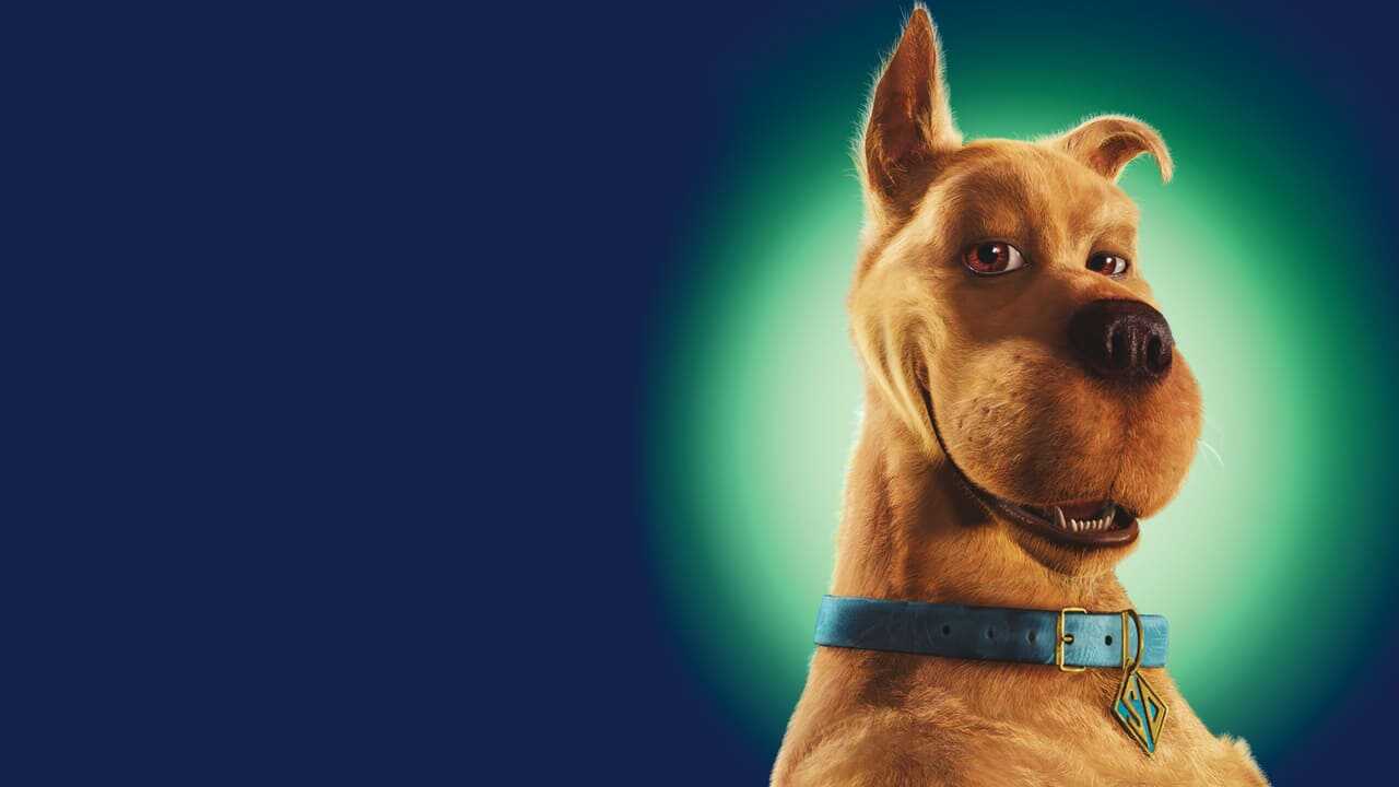 Scooby-Doo 0
