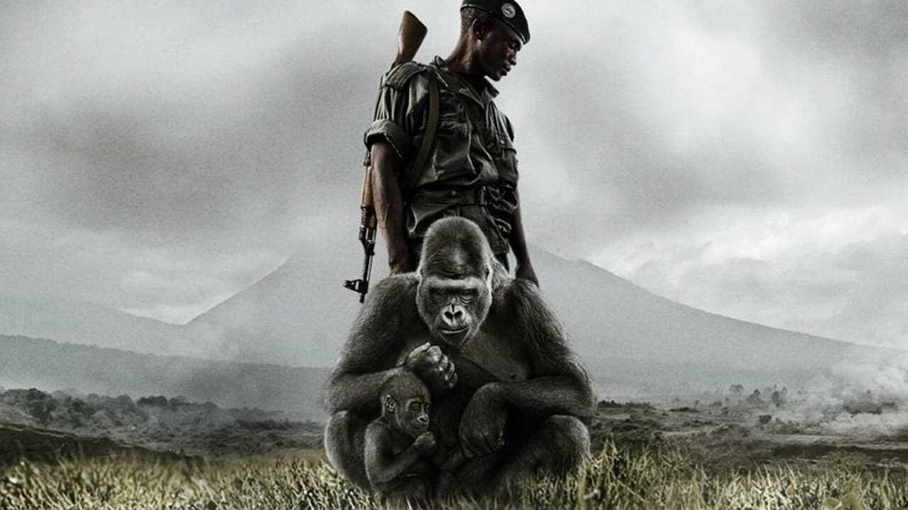 Virunga 0